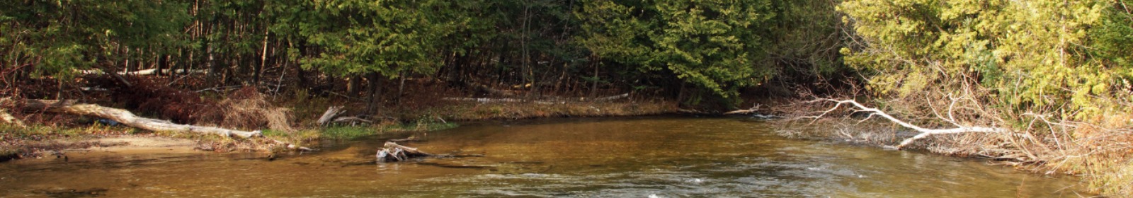Photo of rapid river
